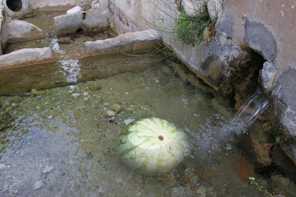 غواداليست El Molinet Del Governador المظهر الخارجي الصورة